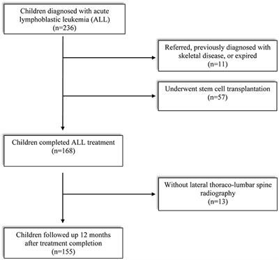 Effect of Vertebral Fracture on Auxological Profiles of Children Undergoing Acute Lymphoblastic Leukemia Treatment